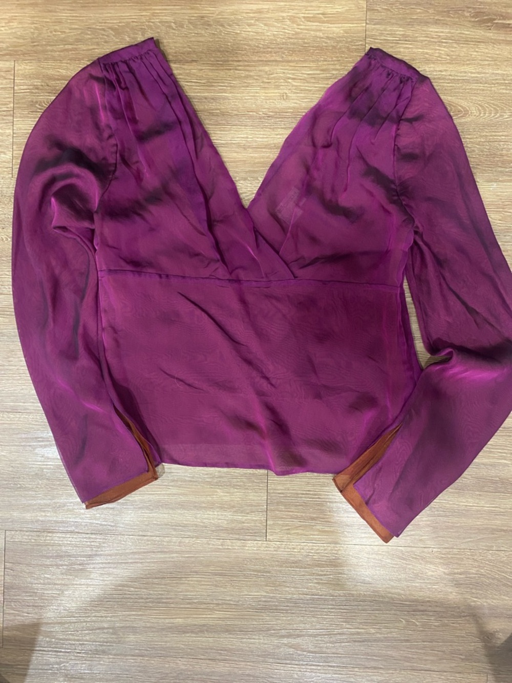 Worth Sheer Deep V Long-Sleeve Blouse - Plum